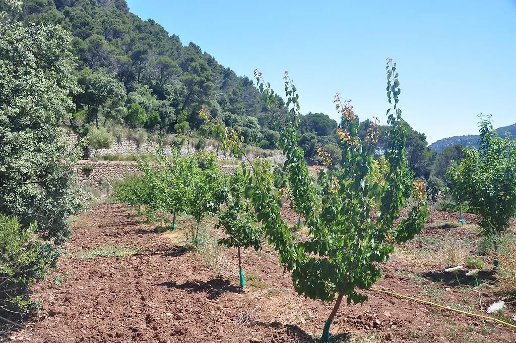 Sa Campaneta Agroturismo Puigpunyent  0*, Puigpunyent (Mallorca) Spanien