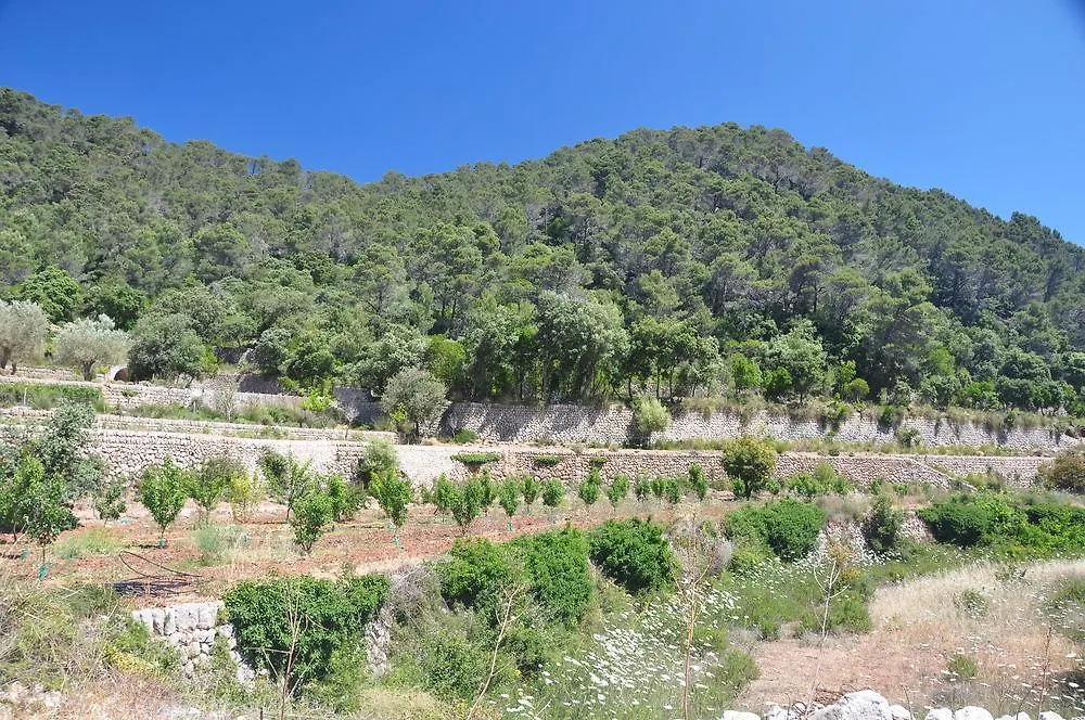 Country house Sa Campaneta Agroturismo Puigpunyent