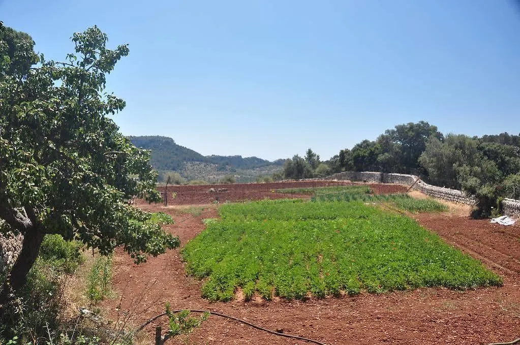 Sa Campaneta Agroturismo Puigpunyent  Spain