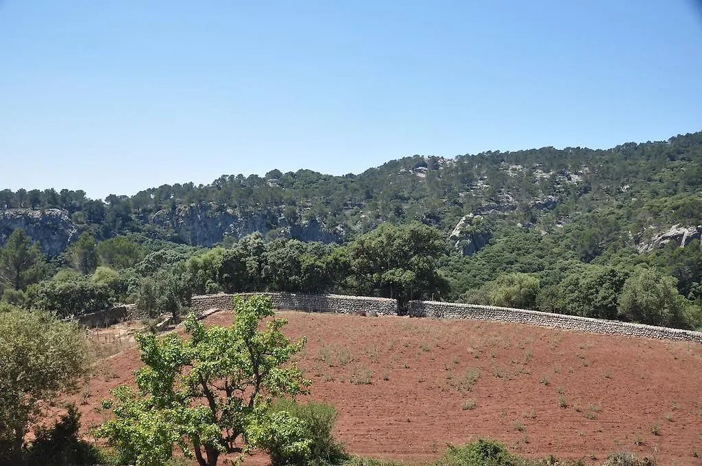 Sa Campaneta Agroturismo Пучпуньент Летний дом